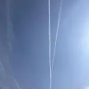 ここ助の画像