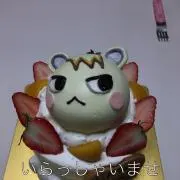 ヨンの画像