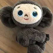 cheeky monkeyの画像