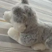 nikの画像