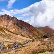 RZ34の画像