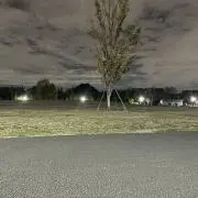 よしの画像