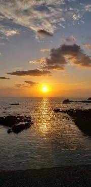 1010 プロフ確認お願いします。の画像