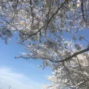あみの画像