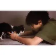 sの画像