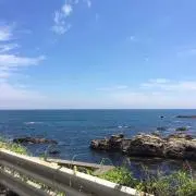 Y/Mの画像