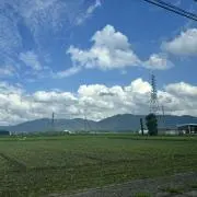 ゆの画像