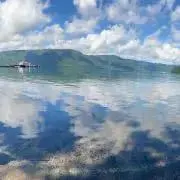 ペニーワイズの画像