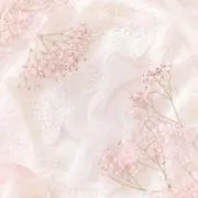 みいの画像