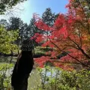 古着屋☺︎nicoの画像