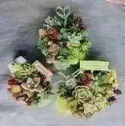 花菜実ꕤ 明日発送です⸝⋆*＊の画像