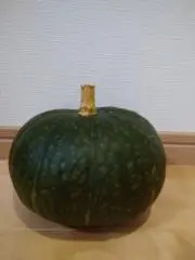 ぱんぷきんの画像