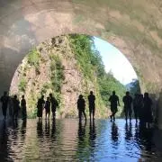 トムの画像