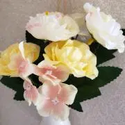 ラッキー⭐の画像