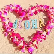 na0_alohaの画像