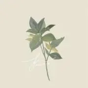 みるくの画像