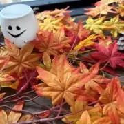 shioriの画像