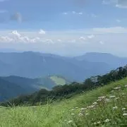 Haruの画像