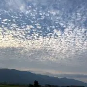 みいの画像