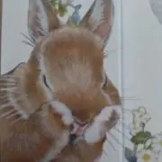 ★はち★の画像