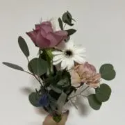 momoの画像