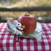 りんごと器♪の画像