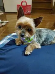 プロフ要確認✨プチギフト付✨