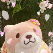 すみれ♪♪の画像