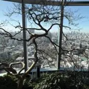 トマトジュースの画像