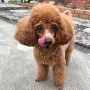 なあの画像