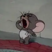 トムの国の画像