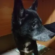 のりまき