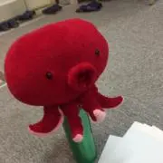 たこさんの画像