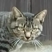 みつるの画像