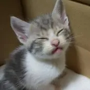 ゆんの画像