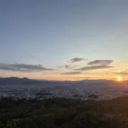 ゆちゃの画像