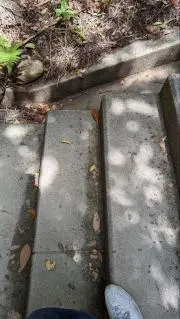 MOLIの画像