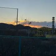 いもにだの画像