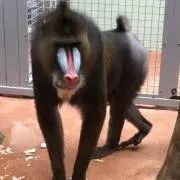 ^_^の画像