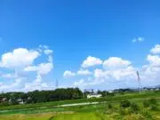 ぬむの画像