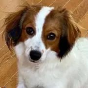 あーちゃんの画像