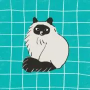 M♡即購入ok！の画像
