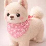 よっちゃんの画像
