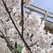 (^^)の画像