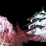 ♫かめたろう♫