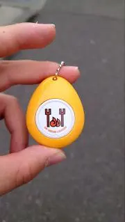 琳瑚