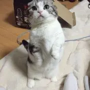 ナチュらる♩の画像