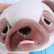 サリ