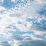 次回発送：10/12の画像