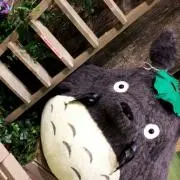 ぺぺの画像